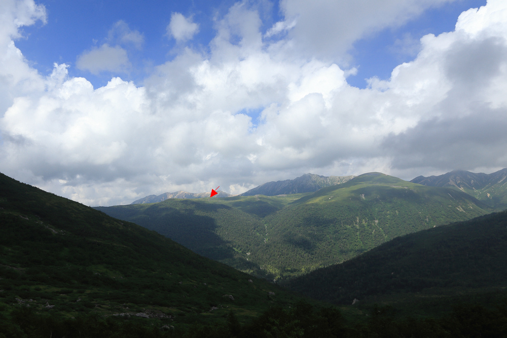 IMG_8929.jpg