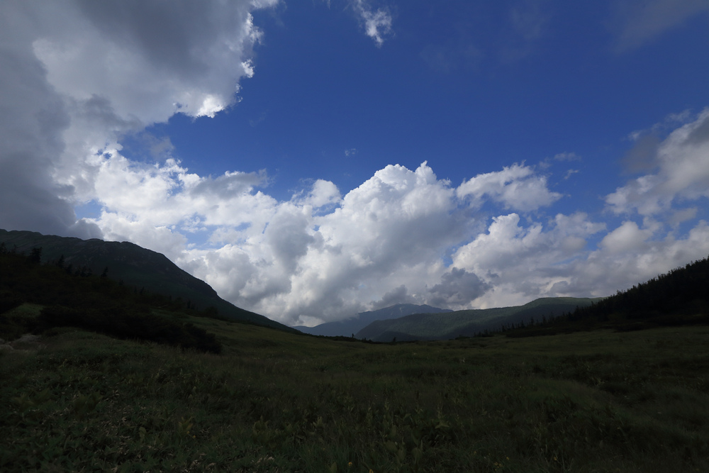 IMG_8975.jpg