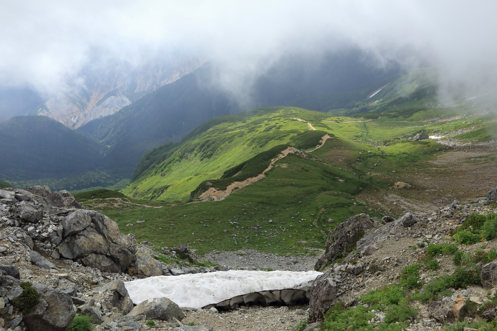IMG_9054.jpg