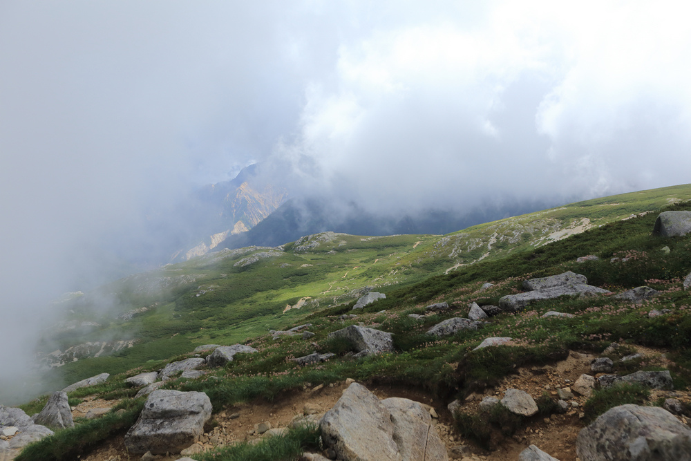 IMG_9087.jpg IMG_9087.jpg