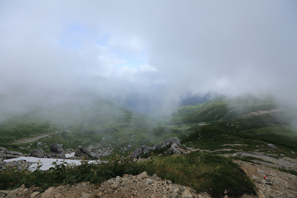 IMG_9081.jpg