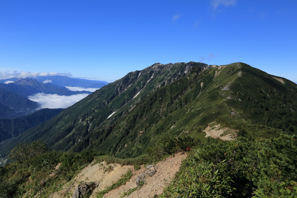 IMG_9474.jpg