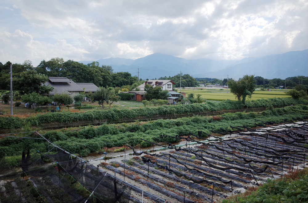 日本：裏銀座縱走-11～山行之外（日暮里、穗高）