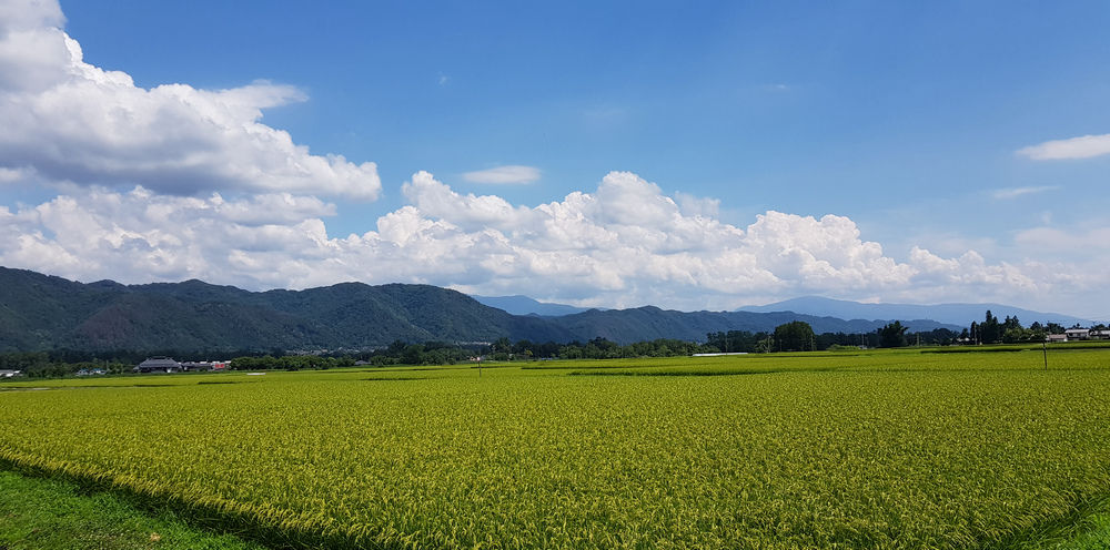 日本：裏銀座縱走-11～山行之外（日暮里、穗高）