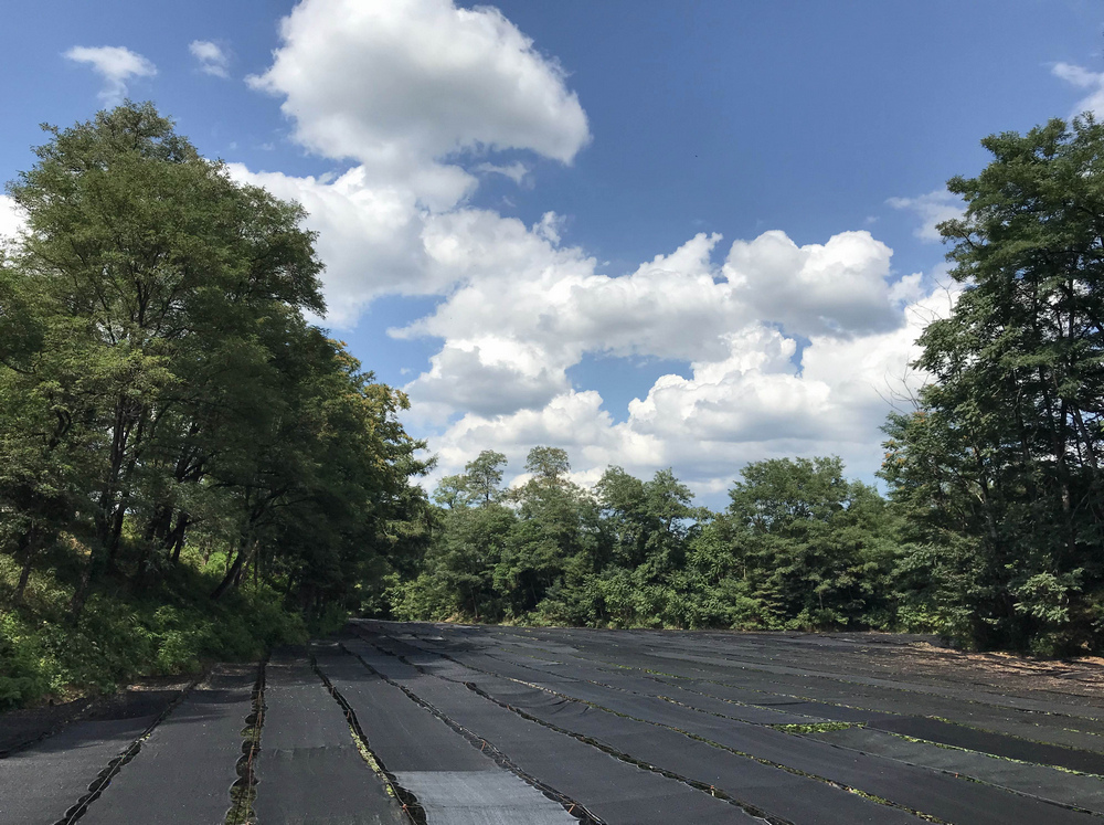 日本：裏銀座縱走-11～山行之外（日暮里、穗高）