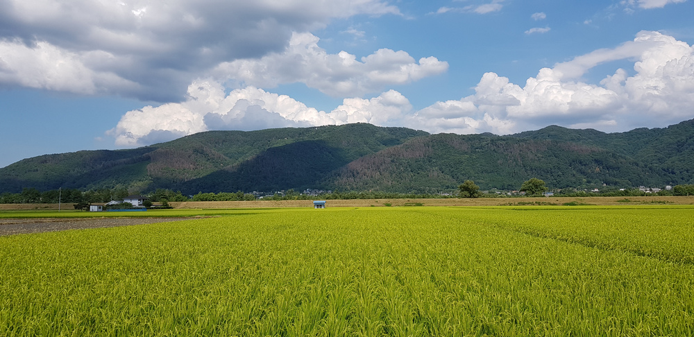 日本：裏銀座縱走-11～山行之外（日暮里、穗高）