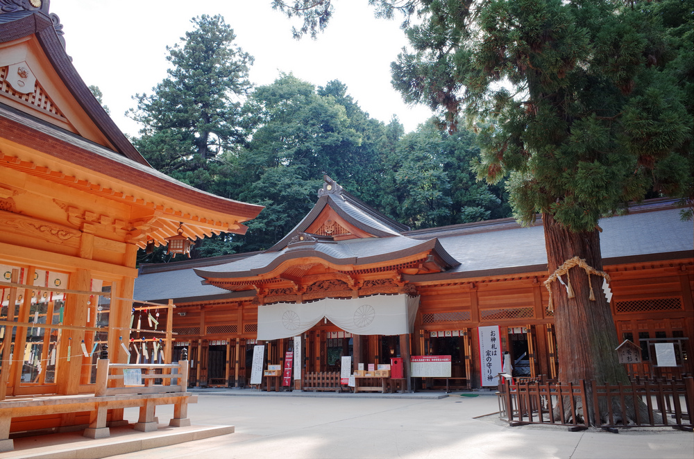 日本：裏銀座縱走-11～山行之外（日暮里、穗高）