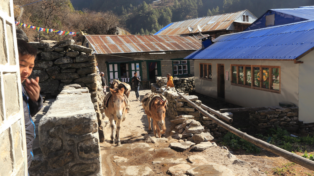 IMG_5632.jpg IMG_5632.jpg