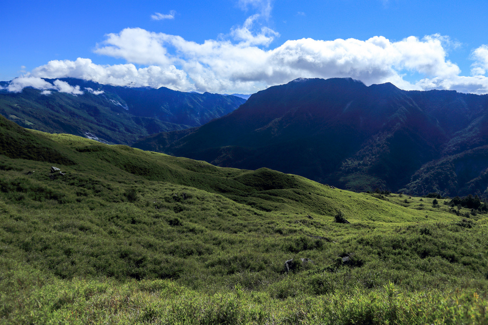 IMG_6597 (2).jpg