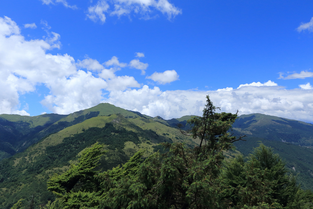 IMG_6679.jpg