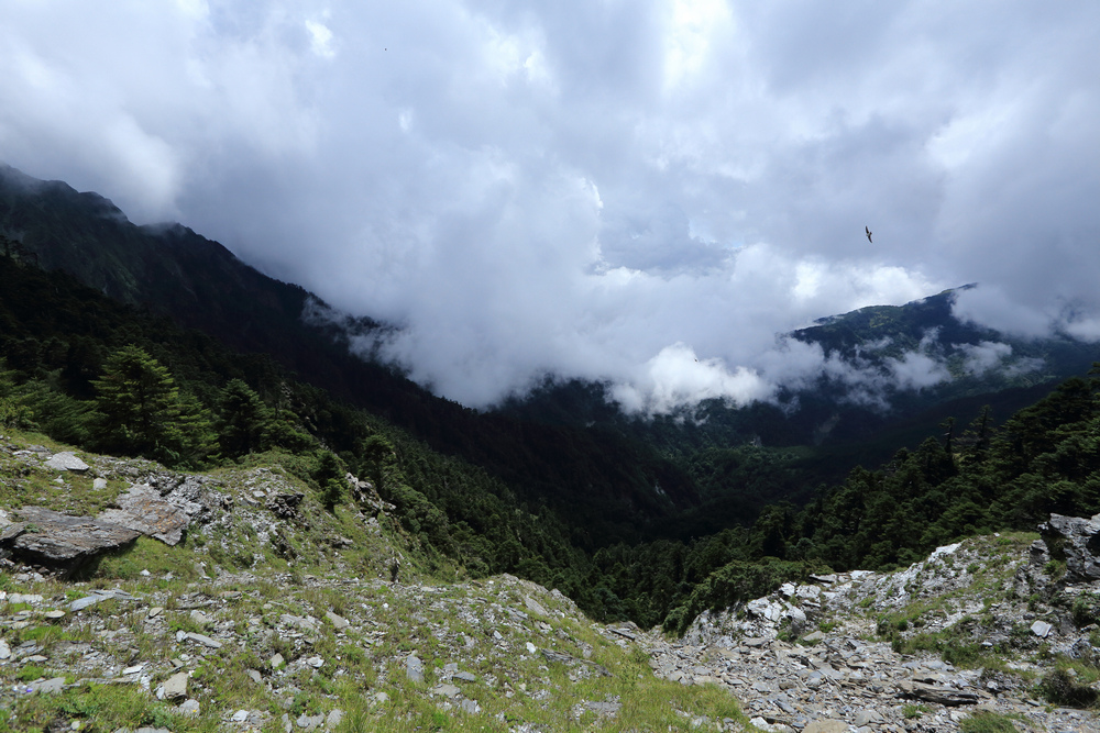 IMG_6696.jpg