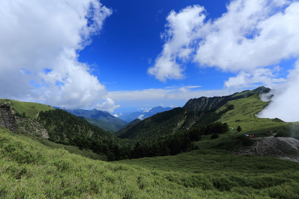 IMG_6713.jpg