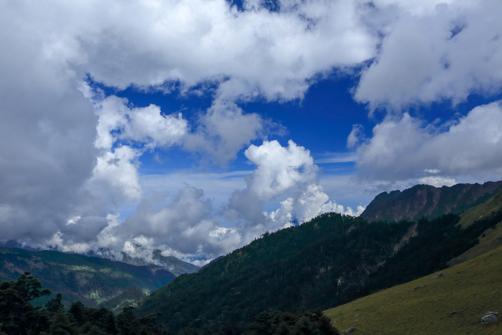 IMG_6725.jpg