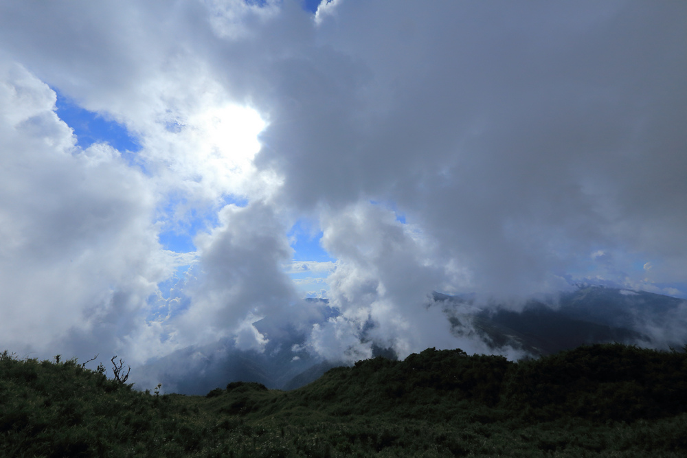 IMG_6733.jpg