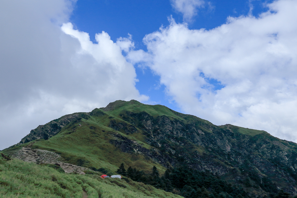 IMG_6737.jpg
