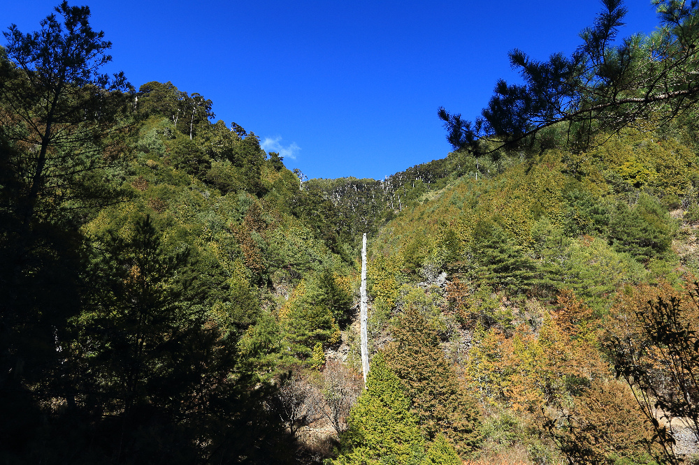 IMG_8164.jpg IMG_8164.jpg