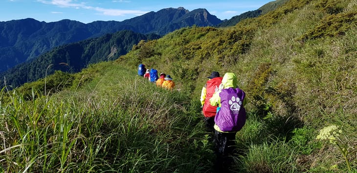 滿山風雨‧半回能安-2~能高主峰:我的第49座百岳 滿山風雨‧半回能安-2~能高主峰:我的第49座百岳