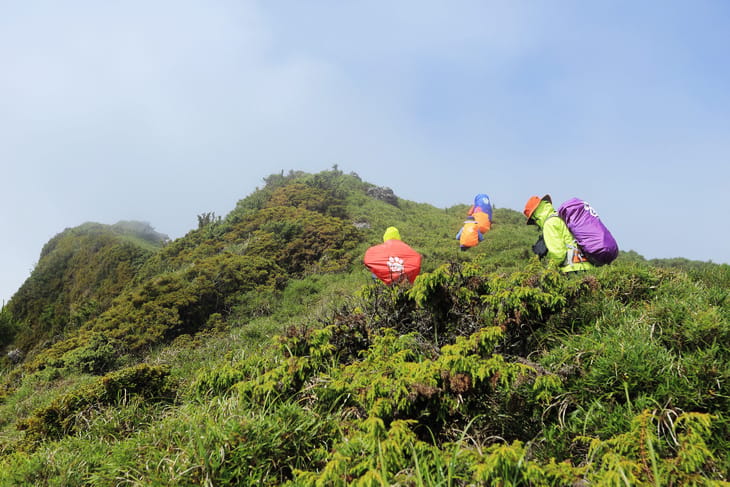 滿山風雨‧半回能安-2~能高主峰:我的第49座百岳 滿山風雨‧半回能安-2~能高主峰:我的第49座百岳