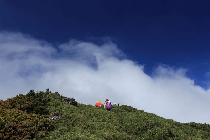 滿山風雨‧半回能安-2~能高主峰:我的第49座百岳 滿山風雨‧半回能安-2~能高主峰:我的第49座百岳
