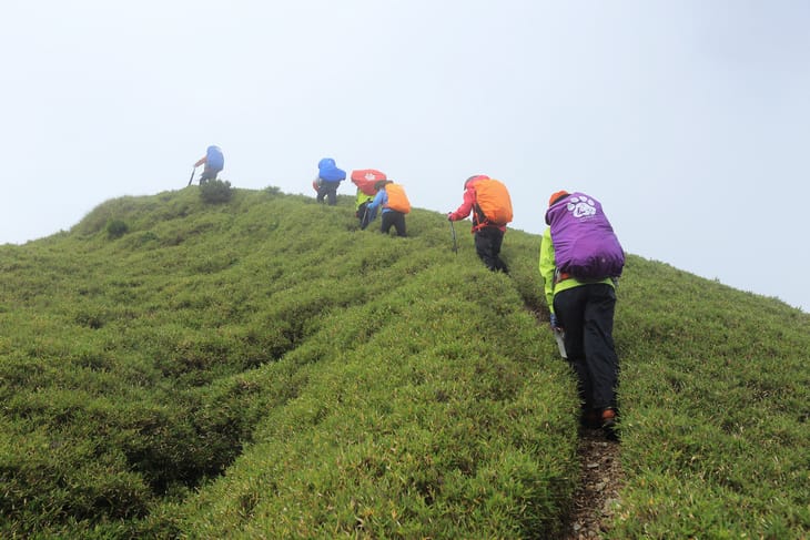 滿山風雨‧半回能安-2~能高主峰:我的第49座百岳 滿山風雨‧半回能安-2~能高主峰:我的第49座百岳