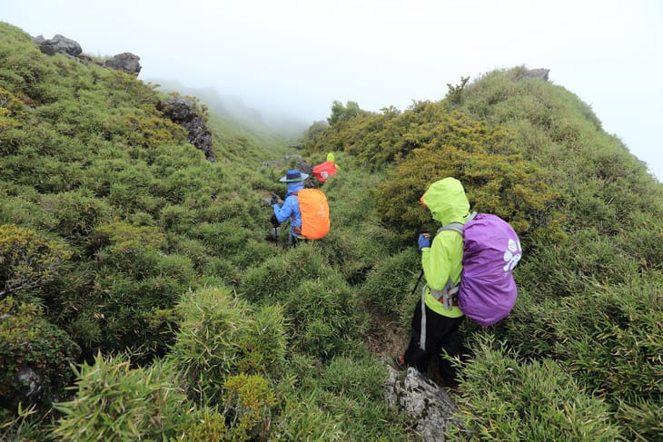 滿山風雨‧半回能安-2~能高主峰:我的第49座百岳 滿山風雨‧半回能安-2~能高主峰:我的第49座百岳