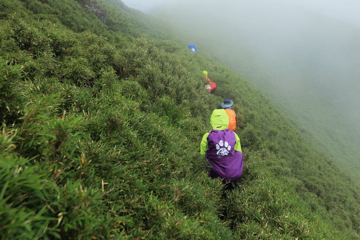 滿山風雨‧半回能安-2~能高主峰:我的第49座百岳 滿山風雨‧半回能安-2~能高主峰:我的第49座百岳