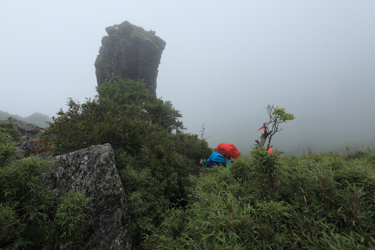 滿山風雨‧半回能安-2~能高主峰:我的第49座百岳 滿山風雨‧半回能安-2~能高主峰:我的第49座百岳