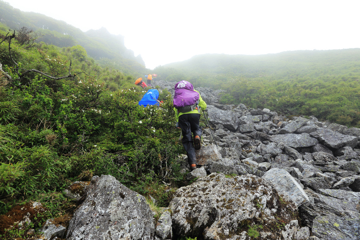 滿山風雨‧半回能安-2~能高主峰:我的第49座百岳 滿山風雨‧半回能安-2~能高主峰:我的第49座百岳
