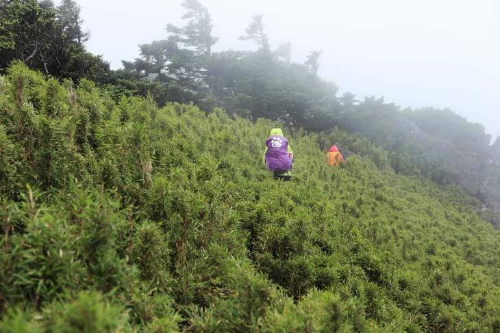 滿山風雨‧半回能安-2~能高主峰:我的第49座百岳 滿山風雨‧半回能安-2~能高主峰:我的第49座百岳