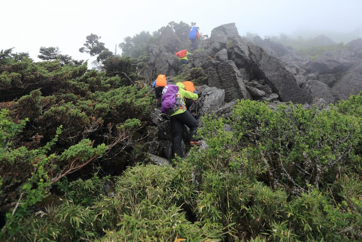 滿山風雨‧半回能安-2~能高主峰:我的第49座百岳 滿山風雨‧半回能安-2~能高主峰:我的第49座百岳