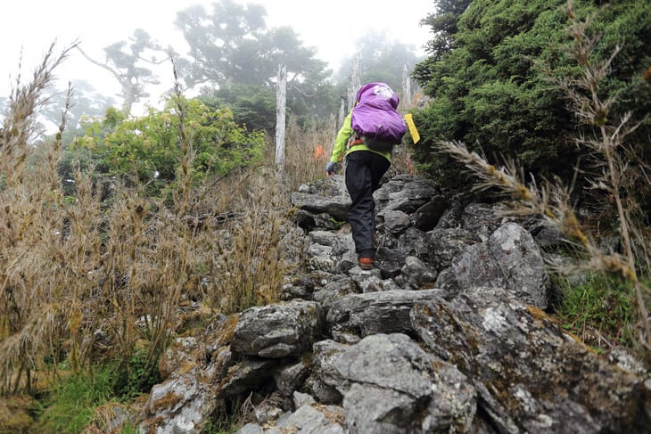 滿山風雨‧半回能安-2~能高主峰:我的第49座百岳 滿山風雨‧半回能安-2~能高主峰:我的第49座百岳