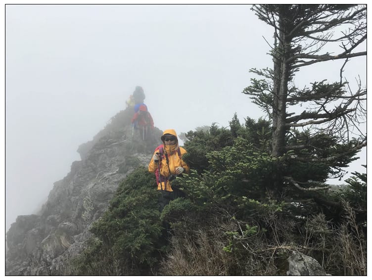 滿山風雨‧半回能安-2~能高主峰:我的第49座百岳 滿山風雨‧半回能安-2~能高主峰:我的第49座百岳