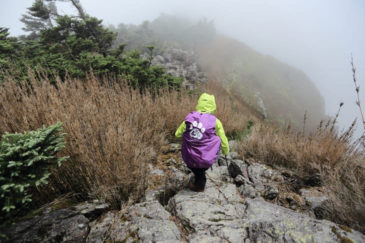 滿山風雨‧半回能安-2~能高主峰:我的第49座百岳 滿山風雨‧半回能安-2~能高主峰:我的第49座百岳