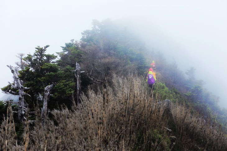 滿山風雨‧半回能安-2~能高主峰:我的第49座百岳 滿山風雨‧半回能安-2~能高主峰:我的第49座百岳