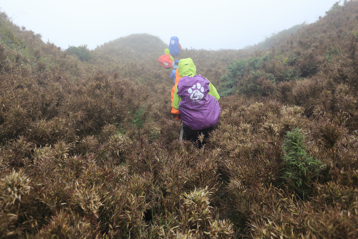 滿山風雨‧半回能安-2~能高主峰:我的第49座百岳 滿山風雨‧半回能安-2~能高主峰:我的第49座百岳