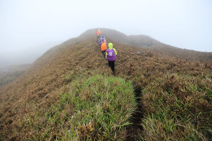 滿山風雨‧半回能安-2~能高主峰:我的第49座百岳 滿山風雨‧半回能安-2~能高主峰:我的第49座百岳