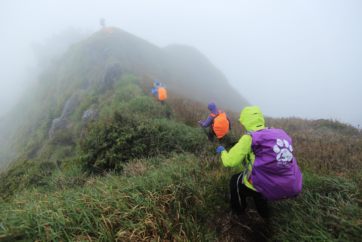 滿山風雨‧半回能安-2~能高主峰:我的第49座百岳 滿山風雨‧半回能安-2~能高主峰:我的第49座百岳