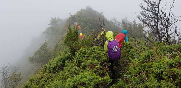 滿山風雨‧半回能安-2~能高主峰:我的第49座百岳 滿山風雨‧半回能安-2~能高主峰:我的第49座百岳