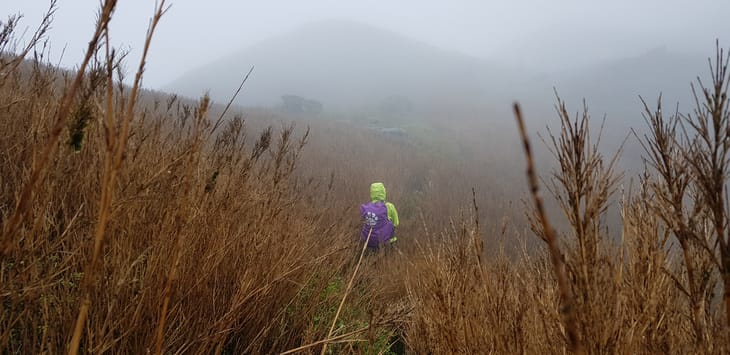 滿山風雨‧半回能安-2~能高主峰:我的第49座百岳 滿山風雨‧半回能安-2~能高主峰:我的第49座百岳