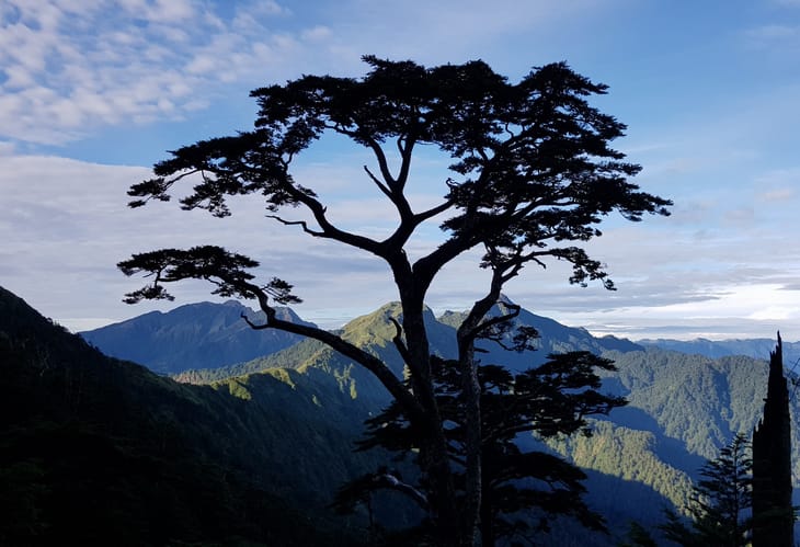 20180706_063624.jpg