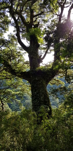 20180706_080756.jpg