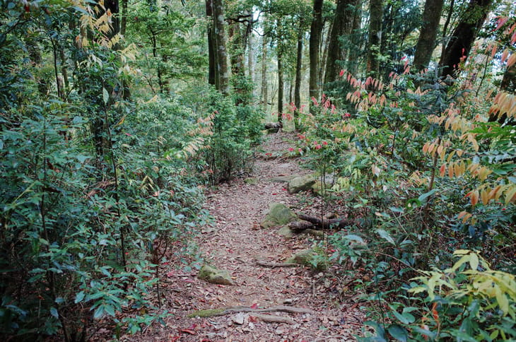 R0030571.jpg