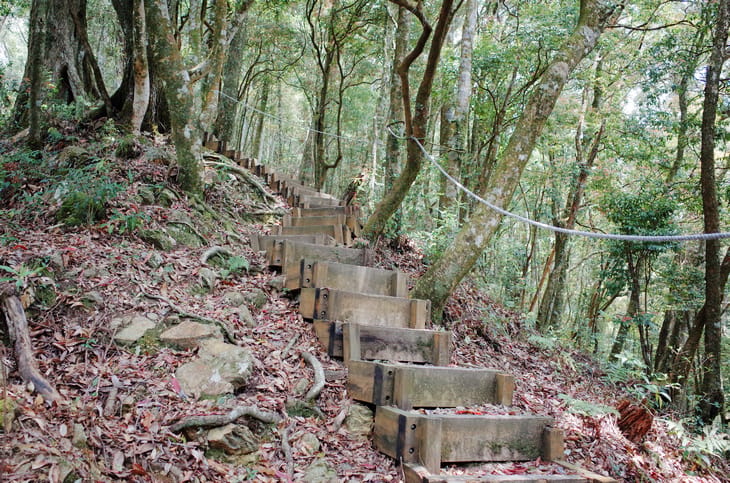 R0030746.jpg
