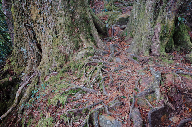 R0030780.jpg