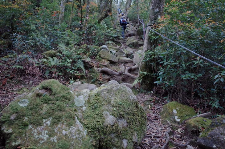 R0030836.jpg