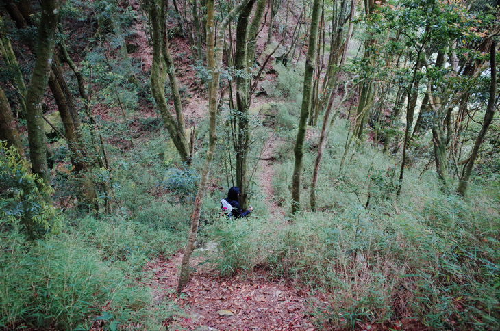 R0030893.jpg