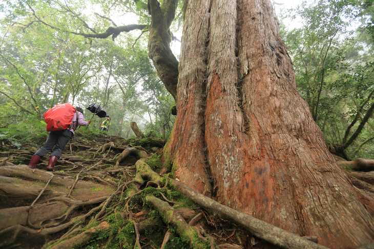 加羅湖之1-順登四季薰山 加羅湖之1-順登四季薰山