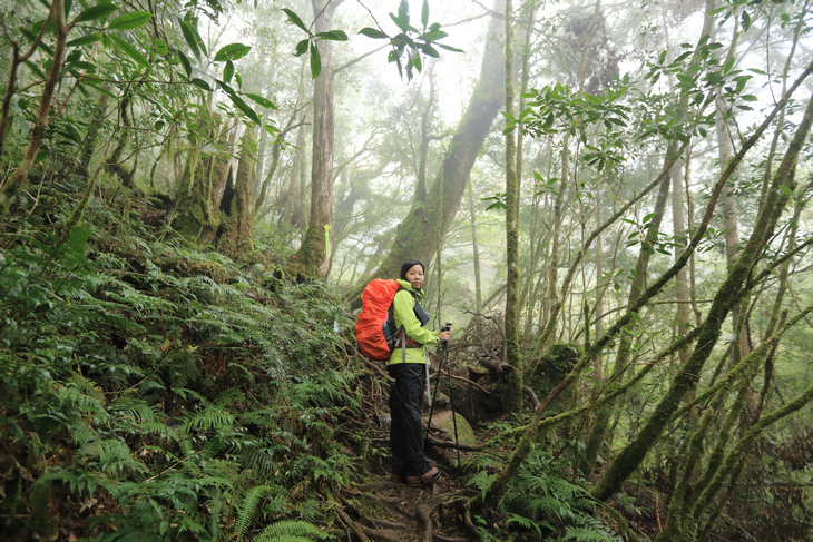 加羅湖之1-順登四季薰山 加羅湖之1-順登四季薰山