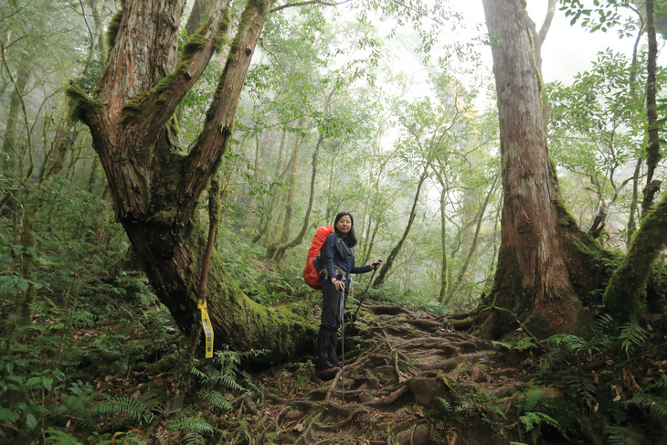 加羅湖之1-順登四季薰山 加羅湖之1-順登四季薰山