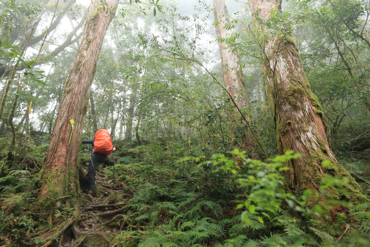 加羅湖之1-順登四季薰山 加羅湖之1-順登四季薰山